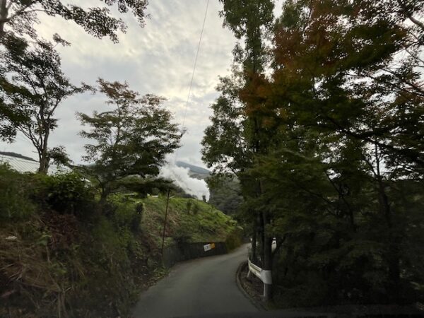 【阿蘇レインボーバレー】紅葉キャンプ!温泉・地獄蒸し・絶景かっぱ滝など満喫の2泊3日