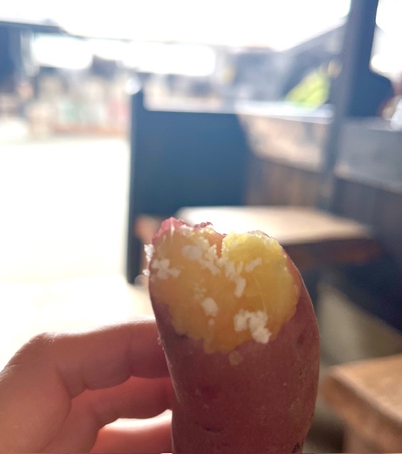 【阿蘇レインボーバレー】紅葉キャンプ!温泉・地獄蒸し・絶景かっぱ滝など満喫の2泊3日