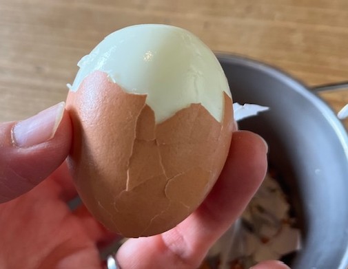 【阿蘇レインボーバレー】紅葉キャンプ!温泉・地獄蒸し・絶景かっぱ滝など満喫の2泊3日