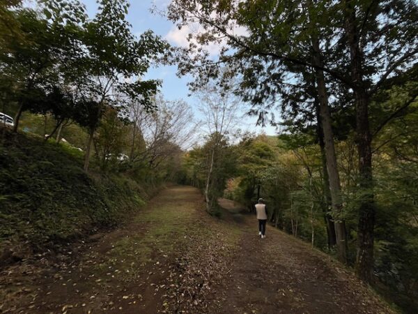 【阿蘇レインボーバレー】紅葉キャンプ!温泉・地獄蒸し・絶景かっぱ滝など満喫の2泊3日