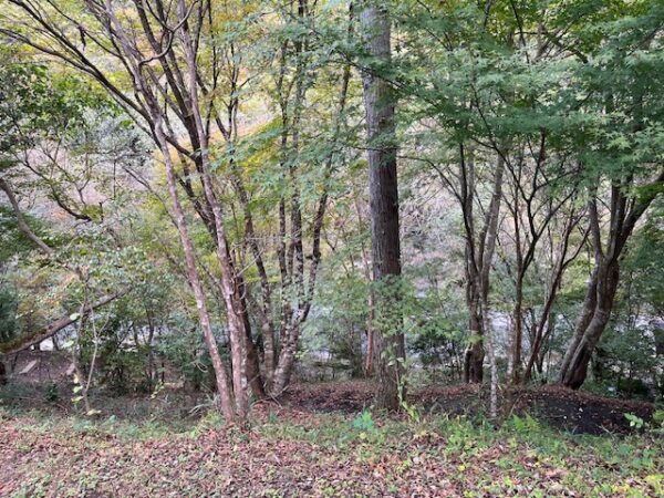 【阿蘇レインボーバレー】紅葉キャンプ!温泉・地獄蒸し・絶景かっぱ滝など満喫の2泊3日