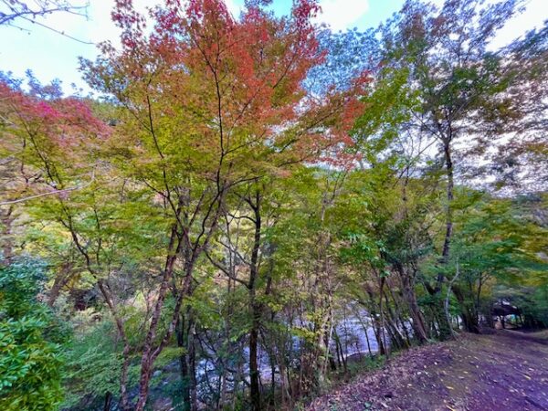 【阿蘇レインボーバレー】紅葉キャンプ!温泉・地獄蒸し・絶景かっぱ滝など満喫の2泊3日