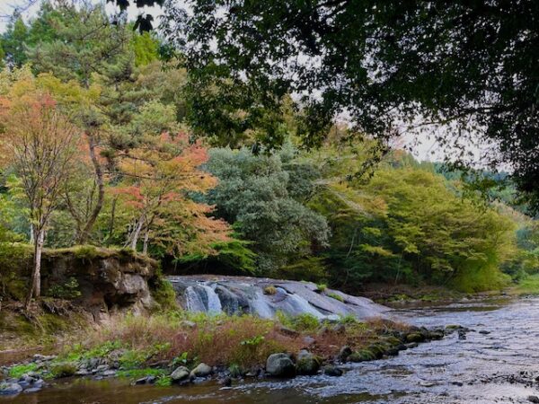 【阿蘇レインボーバレー】紅葉キャンプ!温泉・地獄蒸し・絶景かっぱ滝など満喫の2泊3日