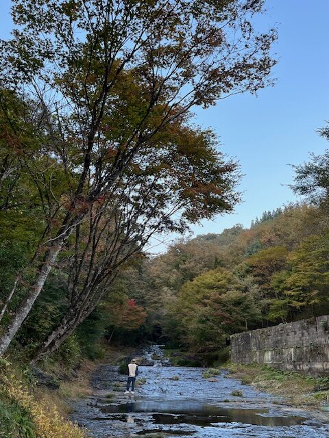 【阿蘇レインボーバレー】紅葉キャンプ!温泉・地獄蒸し・絶景かっぱ滝など満喫の2泊3日