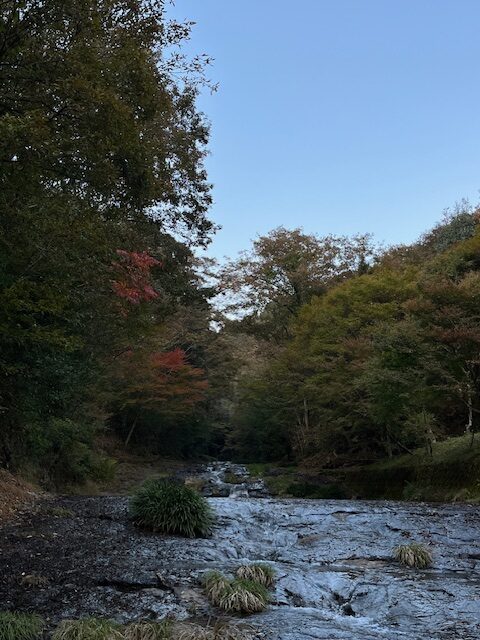 【阿蘇レインボーバレー】紅葉キャンプ!温泉・地獄蒸し・絶景かっぱ滝など満喫の2泊3日