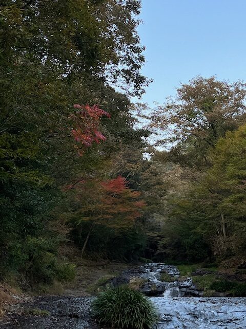 【阿蘇レインボーバレー】紅葉キャンプ!温泉・地獄蒸し・絶景かっぱ滝など満喫の2泊3日