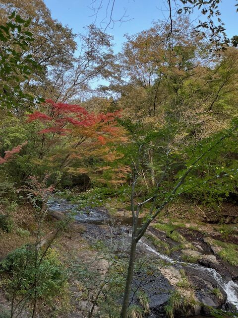 【阿蘇レインボーバレー】紅葉キャンプ!温泉・地獄蒸し・絶景かっぱ滝など満喫の2泊3日
