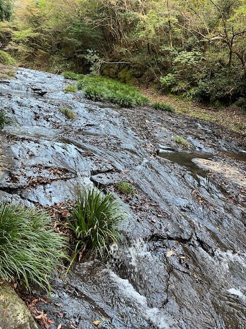【阿蘇レインボーバレー】紅葉キャンプ!温泉・地獄蒸し・絶景かっぱ滝など満喫の2泊3日