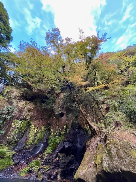 【阿蘇レインボーバレー】紅葉キャンプ!温泉・地獄蒸し・絶景かっぱ滝など満喫の2泊3日