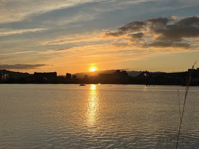 【2026年お正月】福岡市東区「中国菜 随園」の中華おせちレビュー・初日の出と伊野天照皇大神宮に初詣