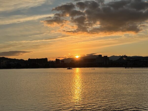 【2026年お正月】福岡市東区「中国菜 随園」の中華おせちレビュー・初日の出と伊野天照皇大神宮に初詣