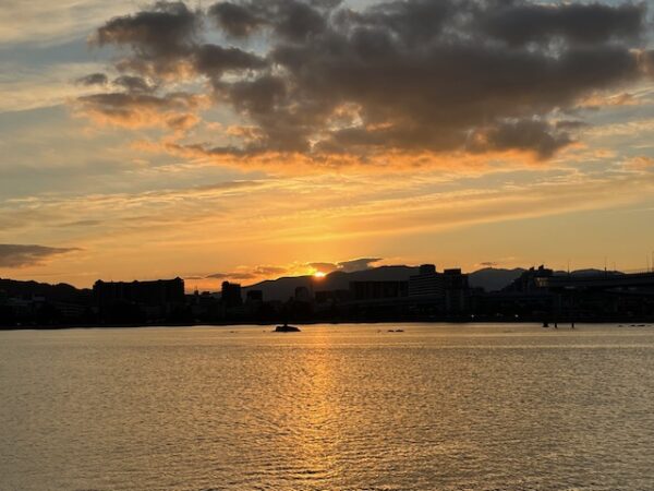 【2026年お正月】福岡市東区「中国菜 随園」の中華おせちレビュー・初日の出と伊野天照皇大神宮に初詣