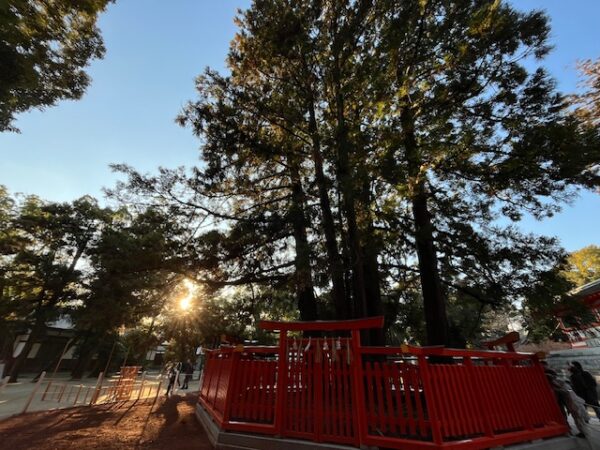 【2026年お正月】福岡市東区「中国菜 随園」の中華おせちレビュー・初日の出と伊野天照皇大神宮に初詣　香椎宮大祓式