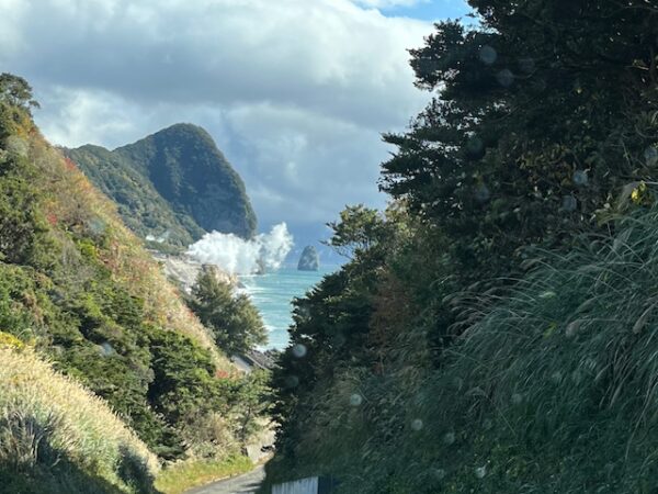鹿児島旅行山川砂むし温泉「砂湯里」