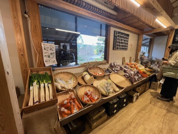 【鹿児島2泊3日旅行記】霧島神宮パワースポット巡り＆明るい農村焼酎蒸留所見学と絶品鹿児島牛すき焼き　日当山無垢食堂西郷どん村