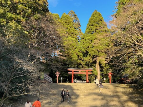 【鹿児島2泊3日旅行記】霧島神宮パワースポット巡り＆明るい農村焼酎蒸留所見学と絶品鹿児島牛すき焼き　
