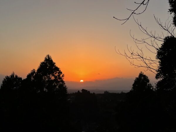 【鹿児島2泊3日旅行記】霧島神宮パワースポット巡り＆明るい農村焼酎蒸留所見学と絶品鹿児島牛すき焼き
